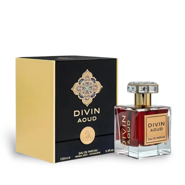 Divin Aoud 100ml EDP by Fragrance World Inspired by Roja Amber Aoud