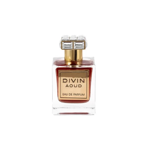 Divin Aoud 100ml EDP by Fragrance World Inspired by Roja Amber Aoud