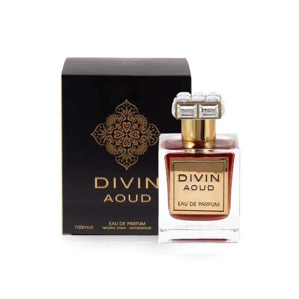 Divin Aoud 100ml EDP by Fragrance World Inspired by Roja Amber Aoud