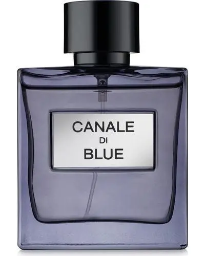 Canale Di Blue 100ml EDP by Fragrance World Inspired By Bleu De Chanel
