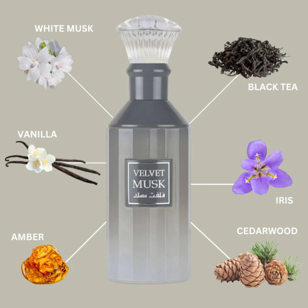 Lattafa Velvet Musk With Fragrance Notes